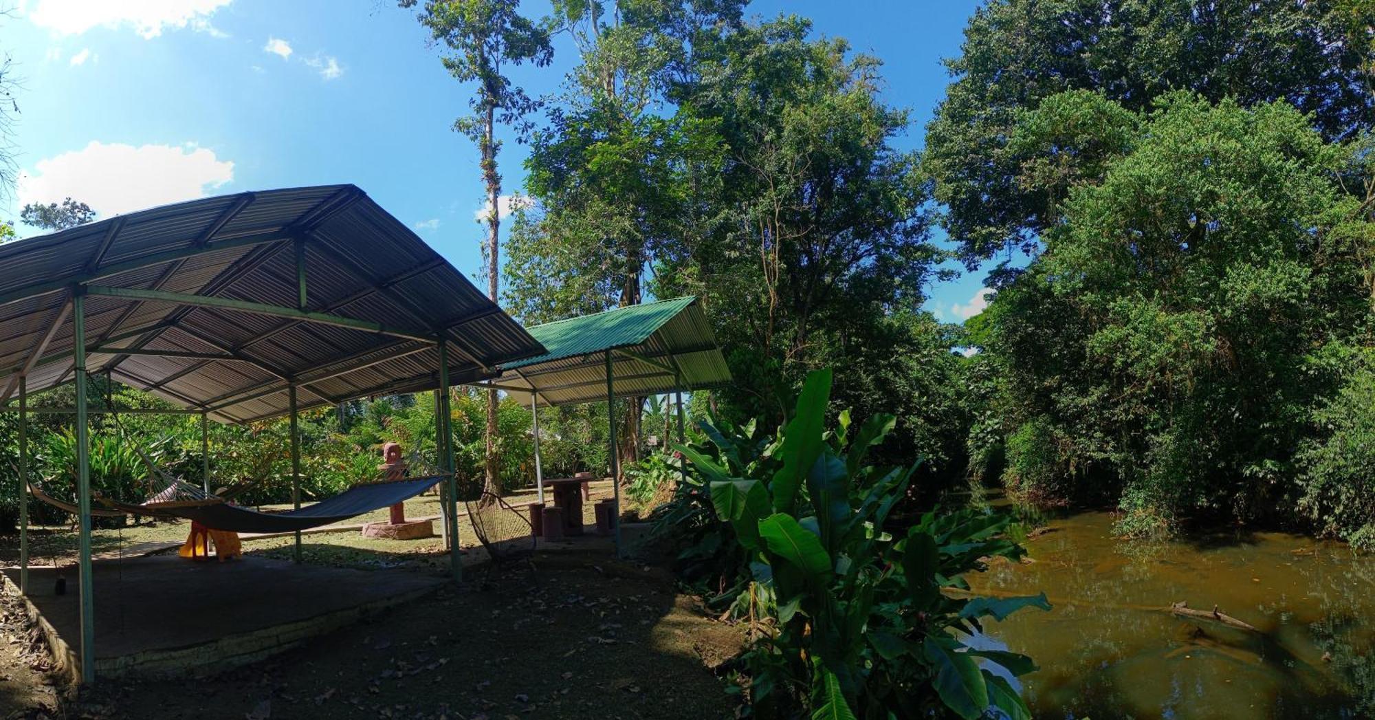 Finca La Paz - Sarapiqui Puerto Viejo de Sarapiqui Zewnętrze zdjęcie