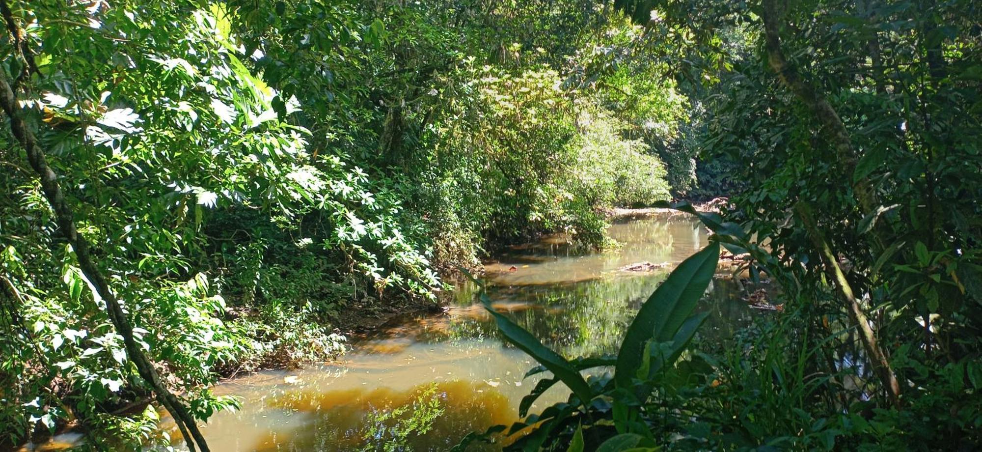 Finca La Paz - Sarapiqui Puerto Viejo de Sarapiqui Zewnętrze zdjęcie