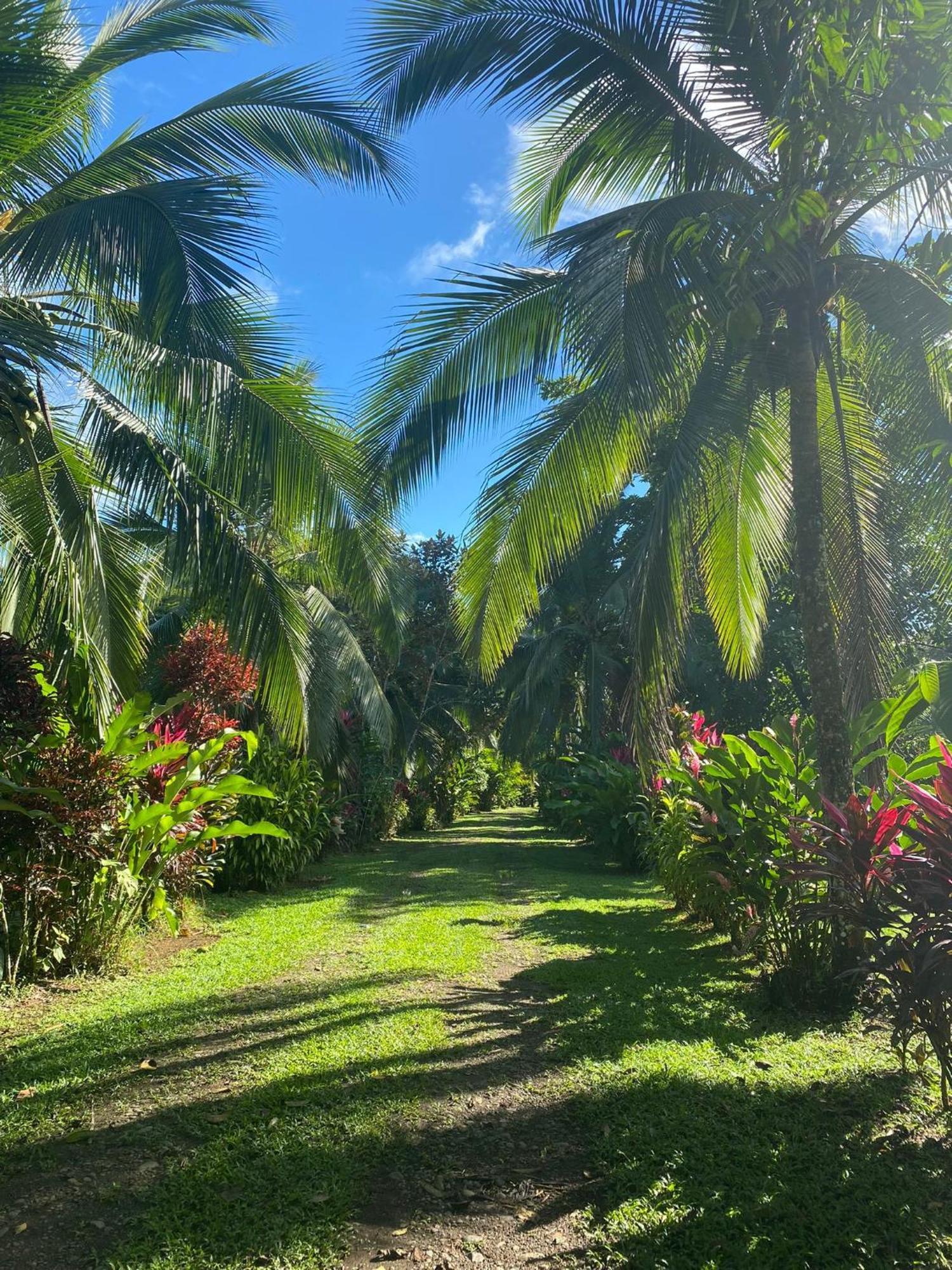 Finca La Paz - Sarapiqui Puerto Viejo de Sarapiqui Zewnętrze zdjęcie